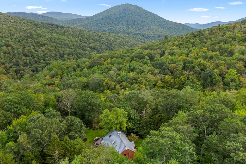 276 Wilcox Hollow Road Sandgate VT 05250