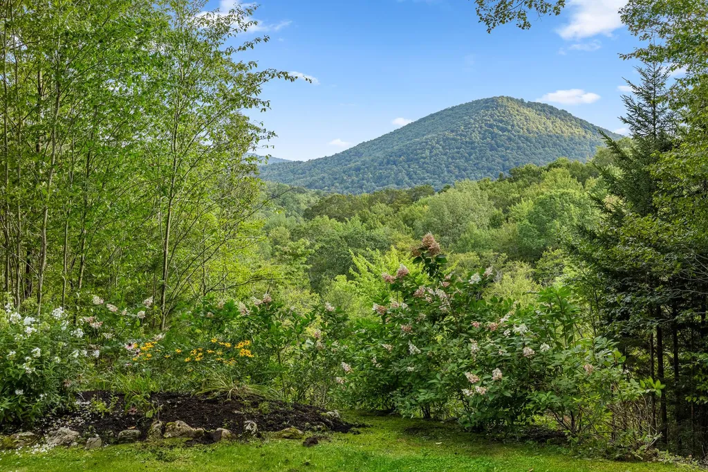 276 Wilcox Hollow Road Sandgate VT 05250