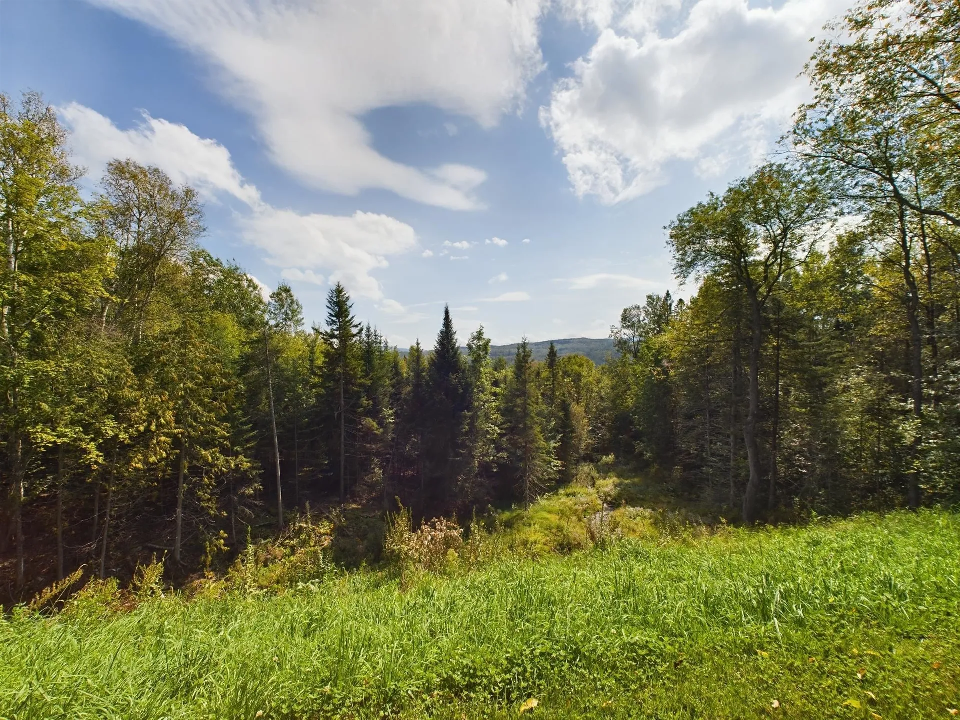 154 Reed Road Colebrook NH 03576