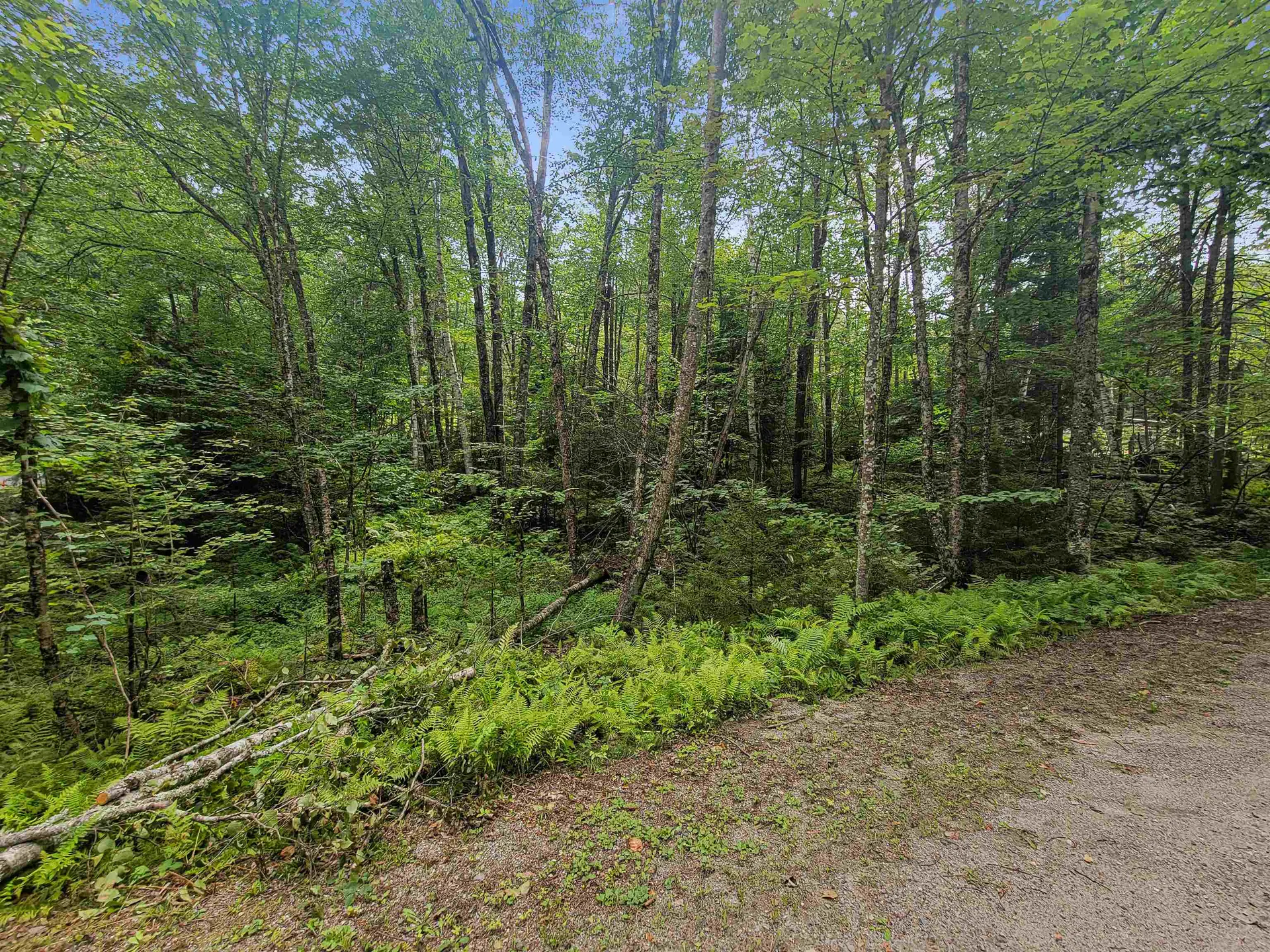 204-248 King Drive Haverhill NH 03785