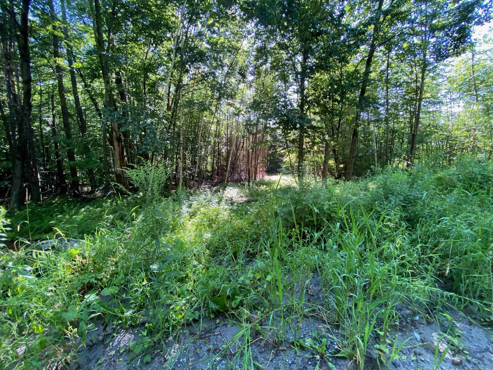 0 Sam Putnam Road Charlestown NH 03603
