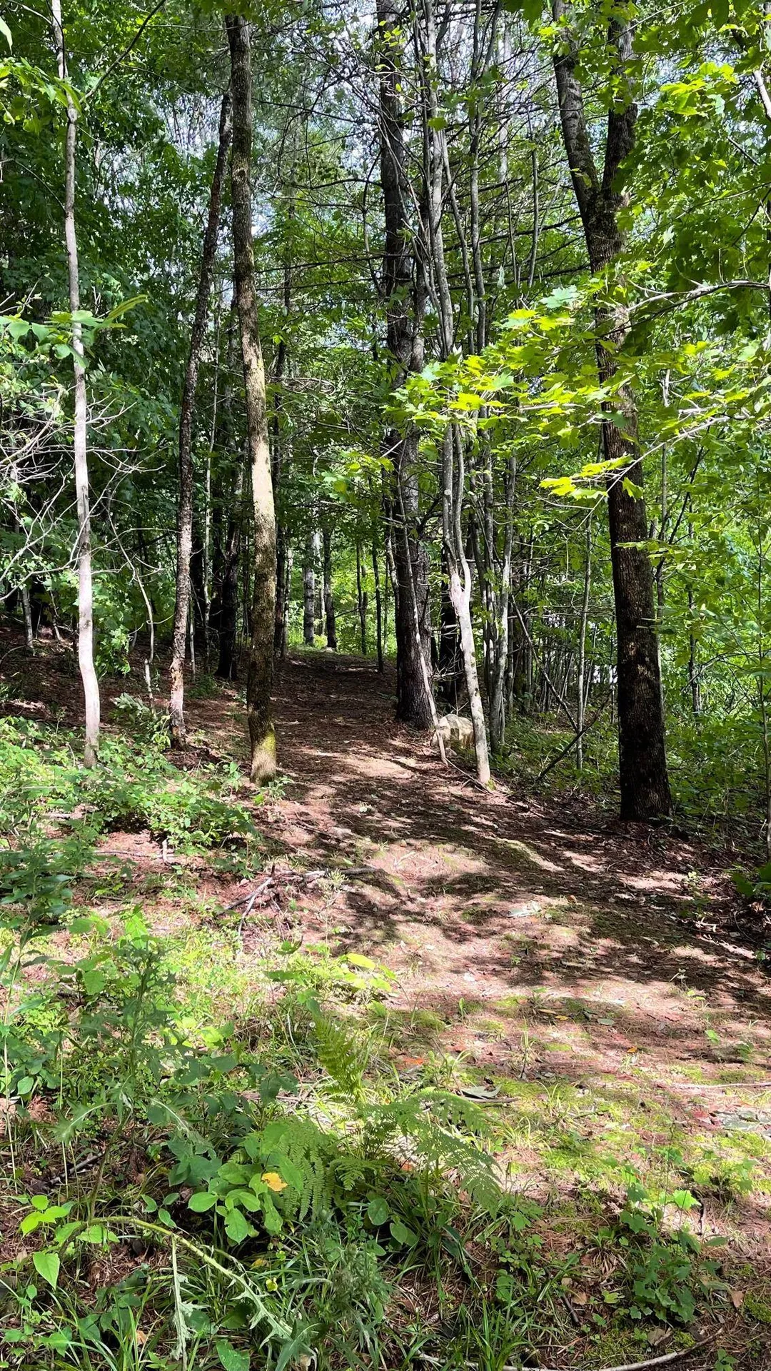 1213 Richardson Road Corinth VT 05039