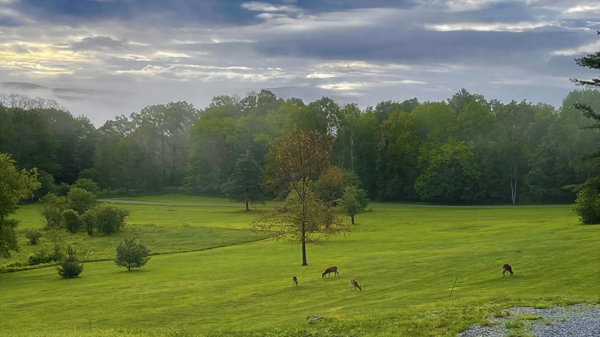1213 Richardson Road Corinth VT 05039