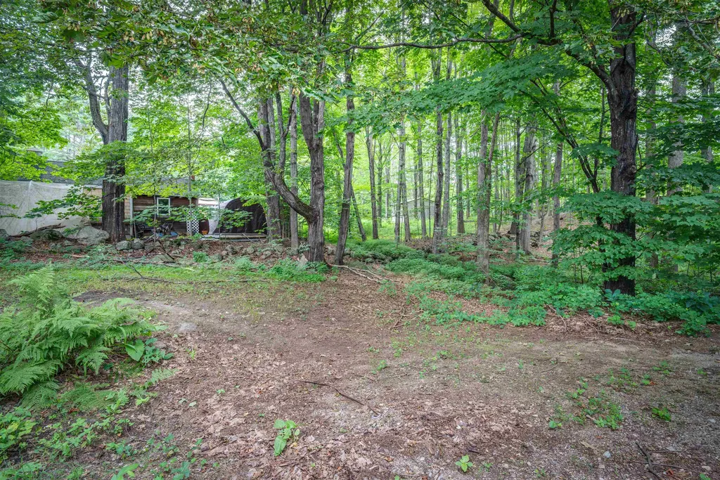 88 Lyford Road Brookfield NH 03872