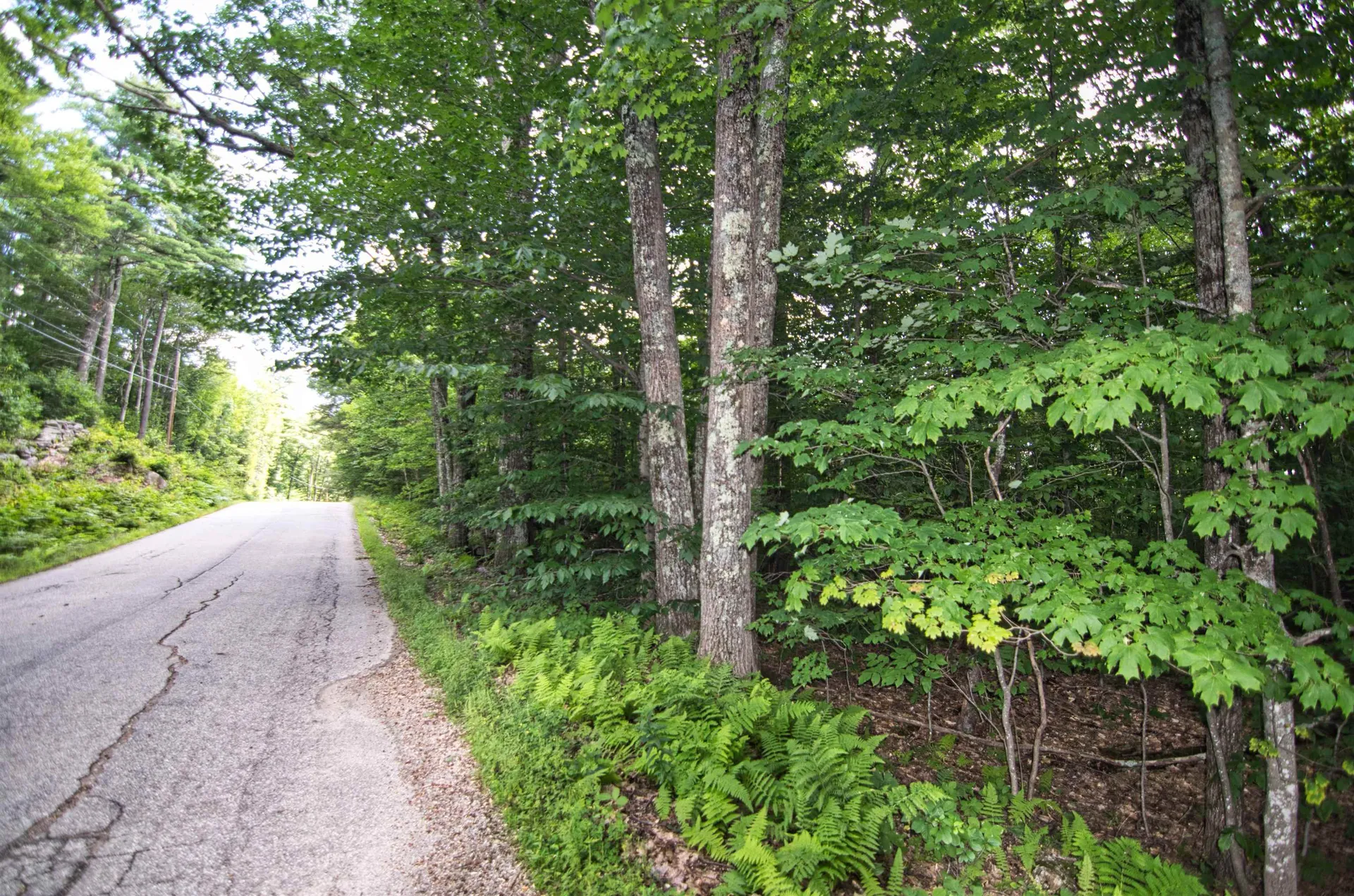 00 Flaghole Road Andover NH 03216