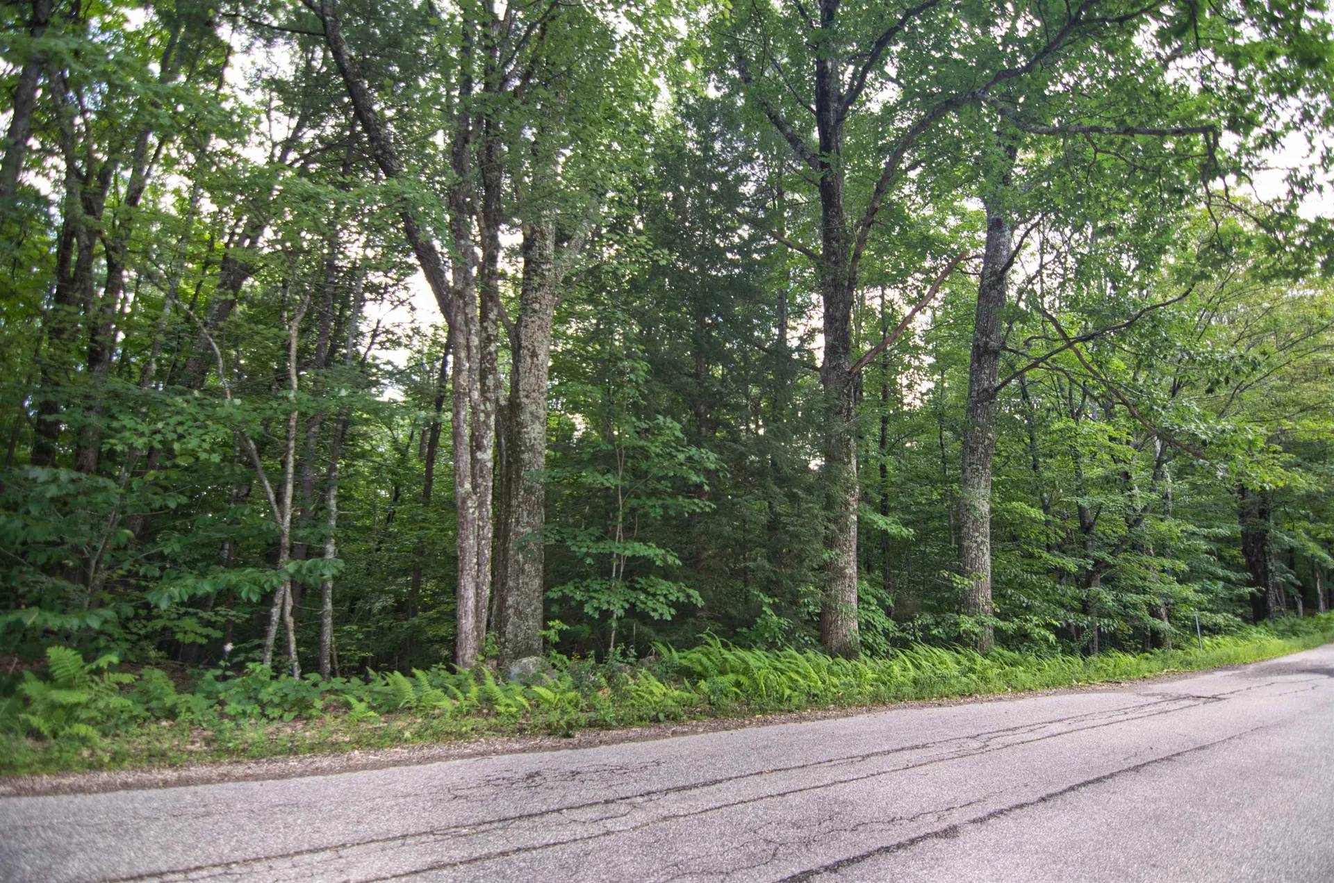 00 Flaghole Road Andover NH 03216