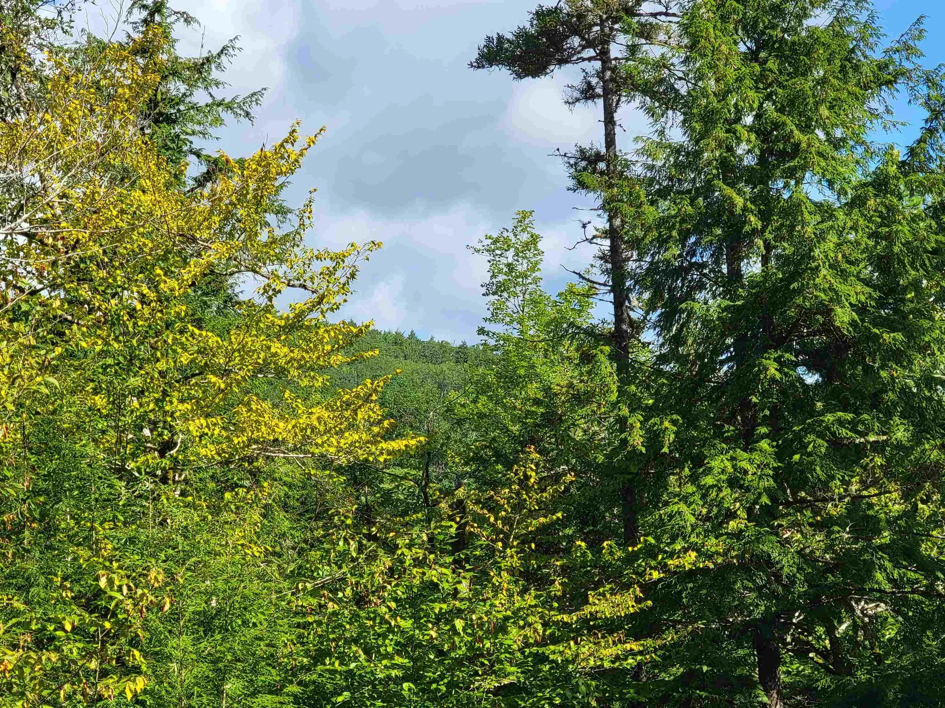 Seven Sisters Circle Campton NH 03223