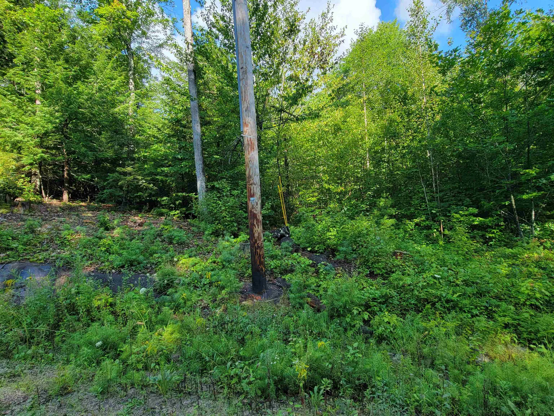 Seven Sisters Circle Campton NH 03223