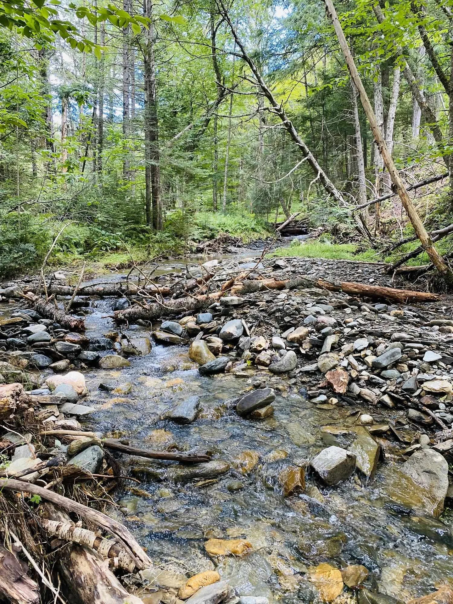 0 Collar Hill Road Worcester VT 05682