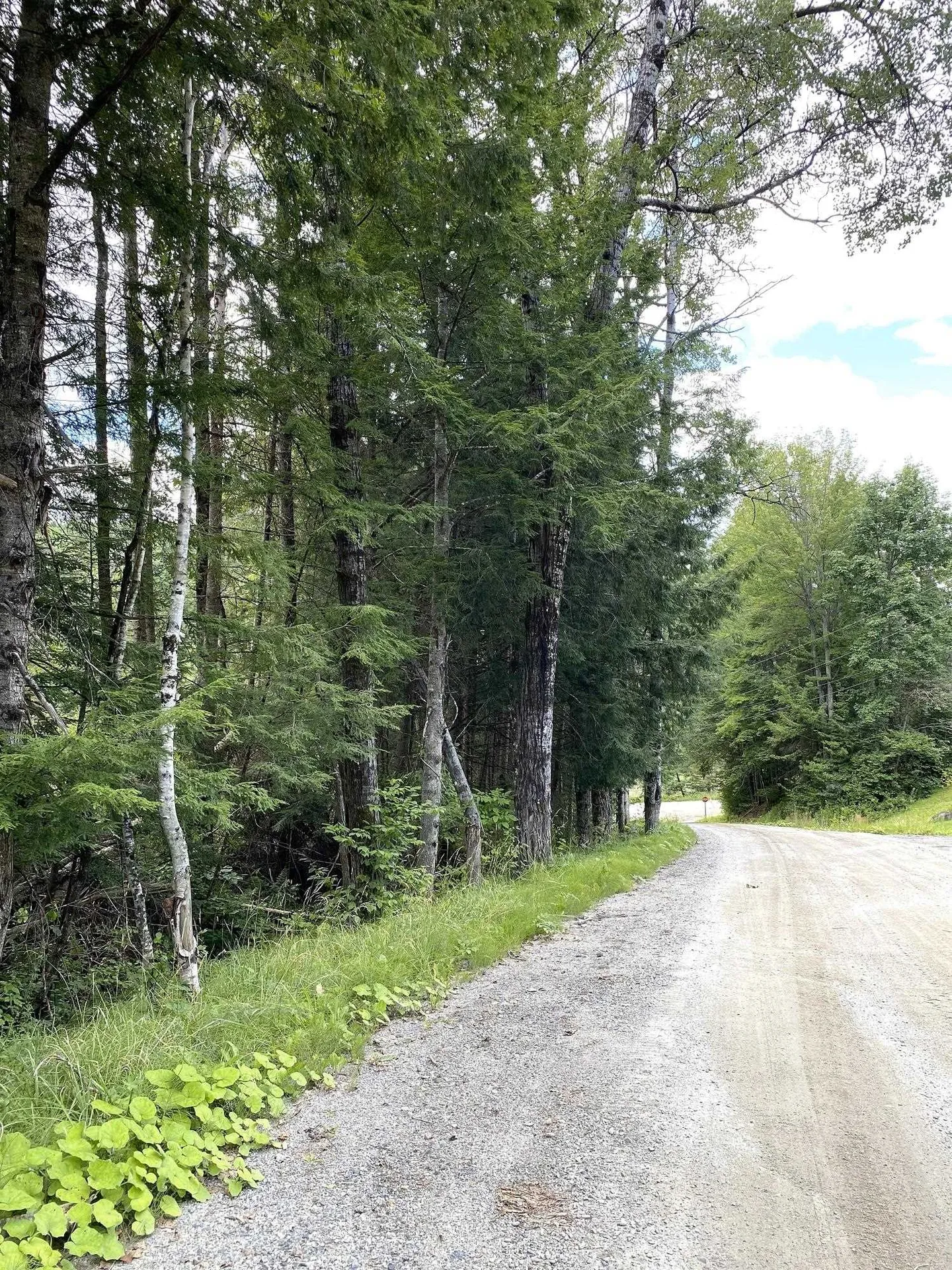 0 Collar Hill Road Worcester VT 05682