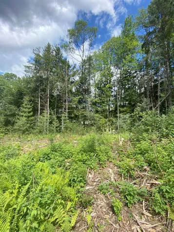 0 Collar Hill Road Worcester VT 05682