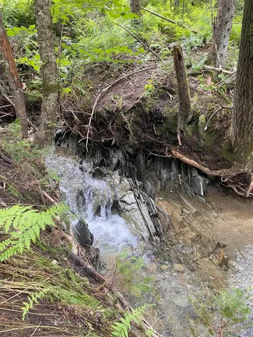 0 Collar Hill Road Worcester VT 05682