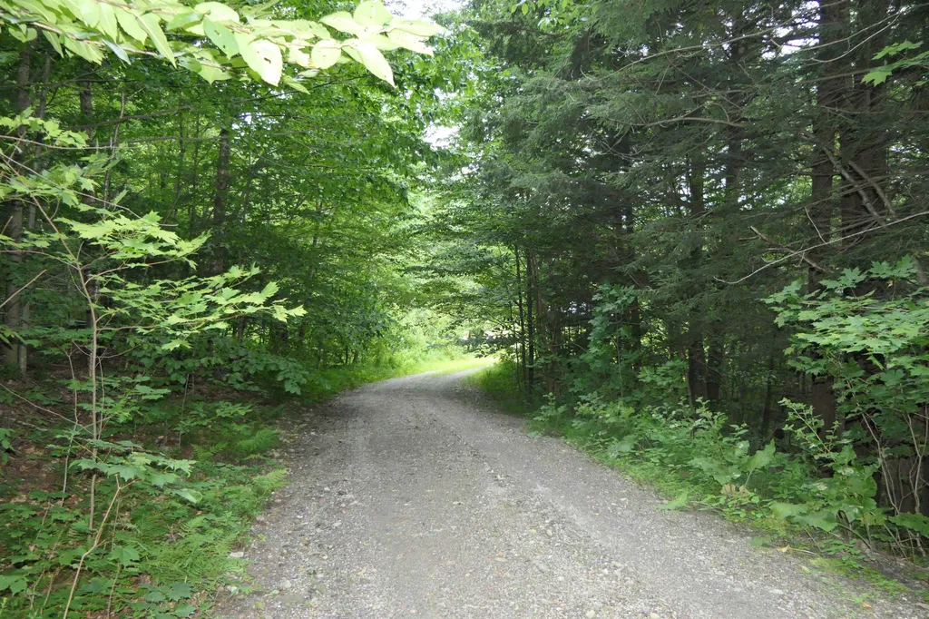 1475 Fuller Bridge Road Montgomery VT 05471