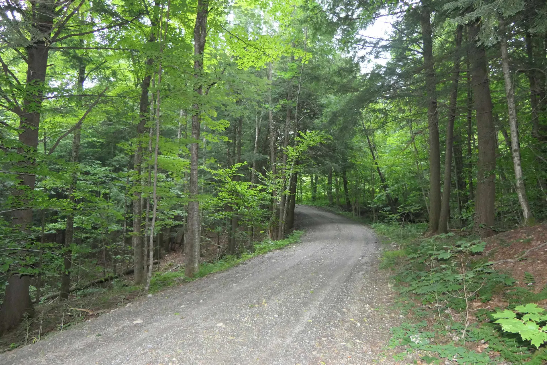 1475 Fuller Bridge Road Montgomery VT 05471