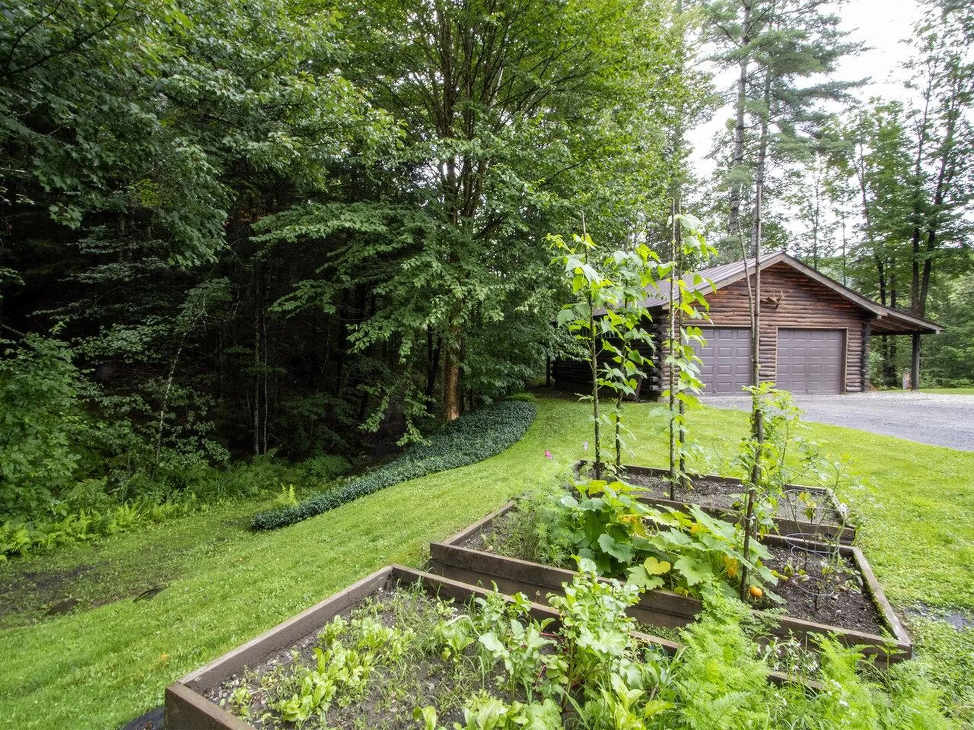 11 Moose Hollow Road Worcester VT 05682