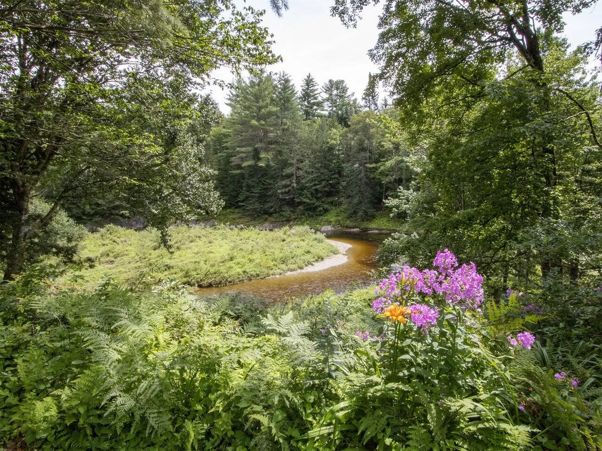 11 Moose Hollow Road Worcester VT 05682