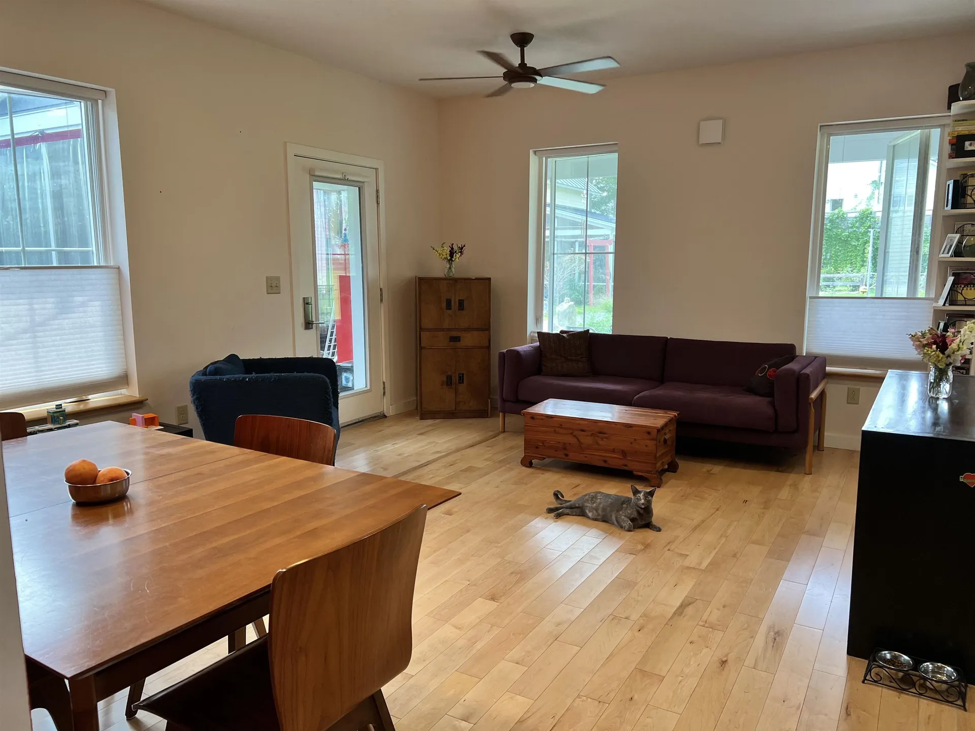 28 Sprout Street Bristol VT 05443