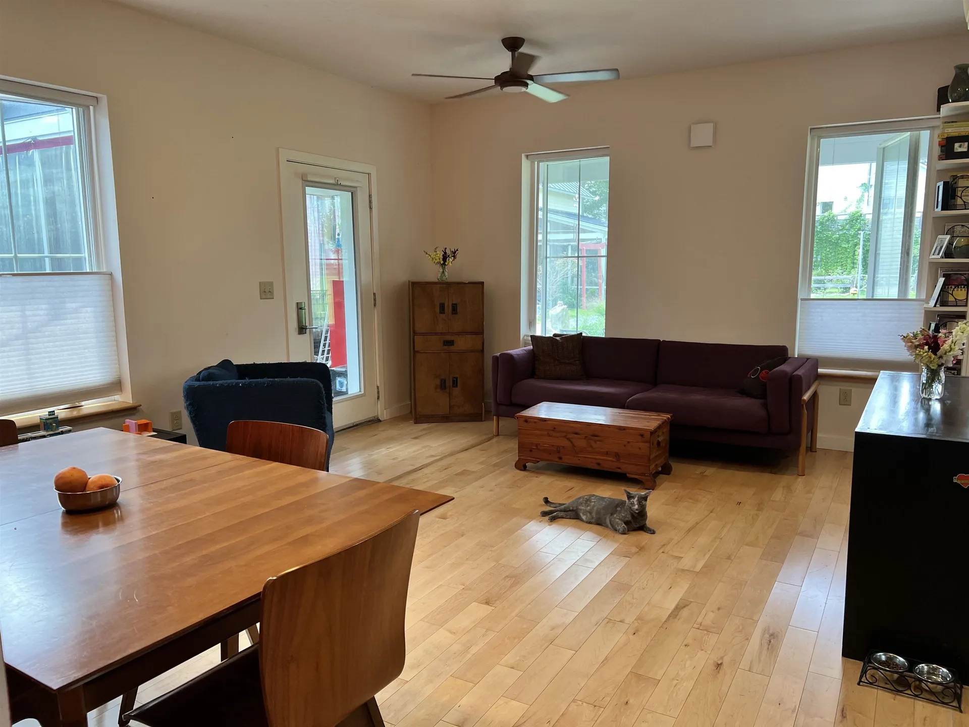 28 Sprout Street Bristol VT 05443