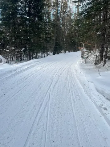 00 Mcconnell Pond Road Brighton VT 05846