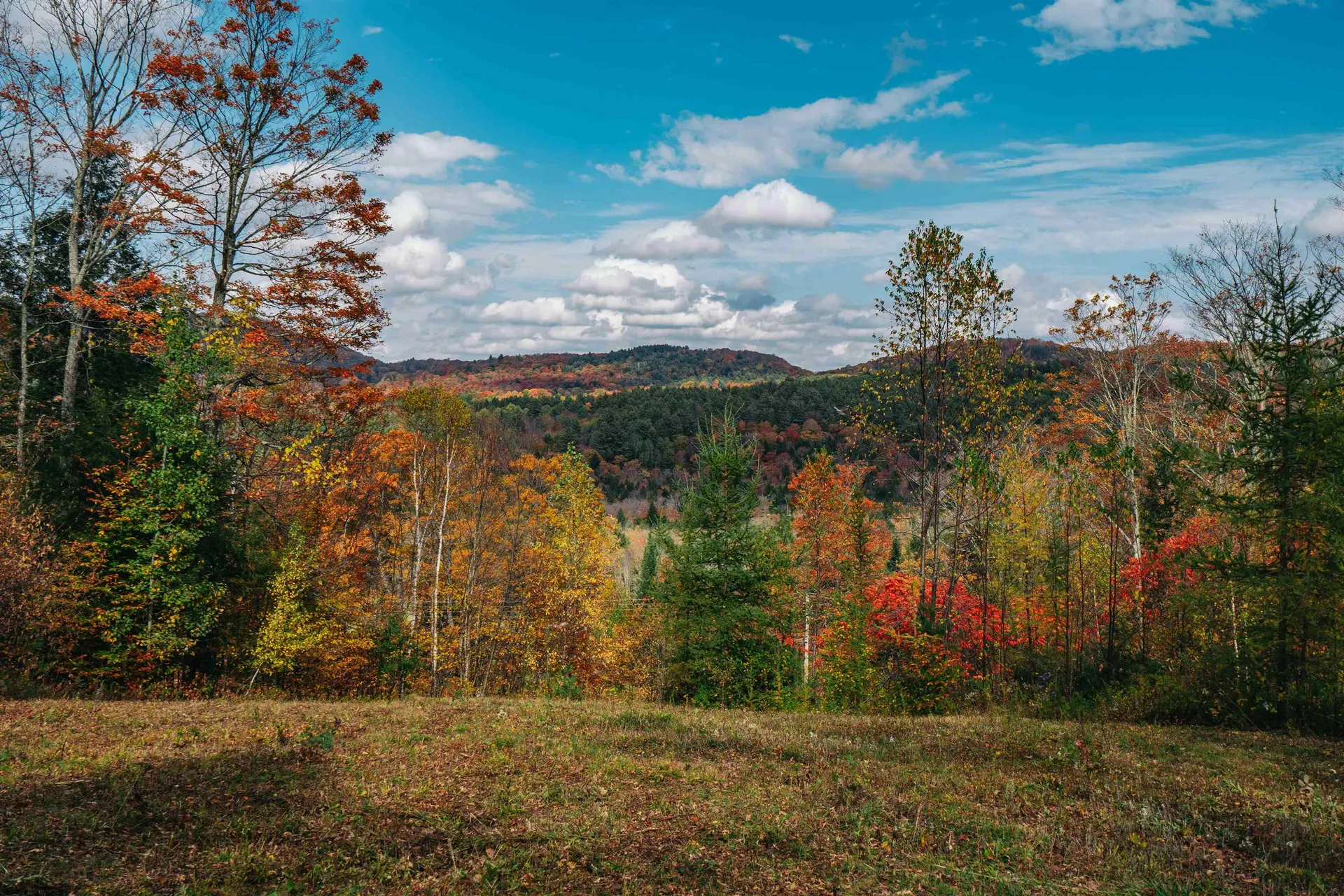 186 Bicknell Hill Road Tunbridge VT 05077