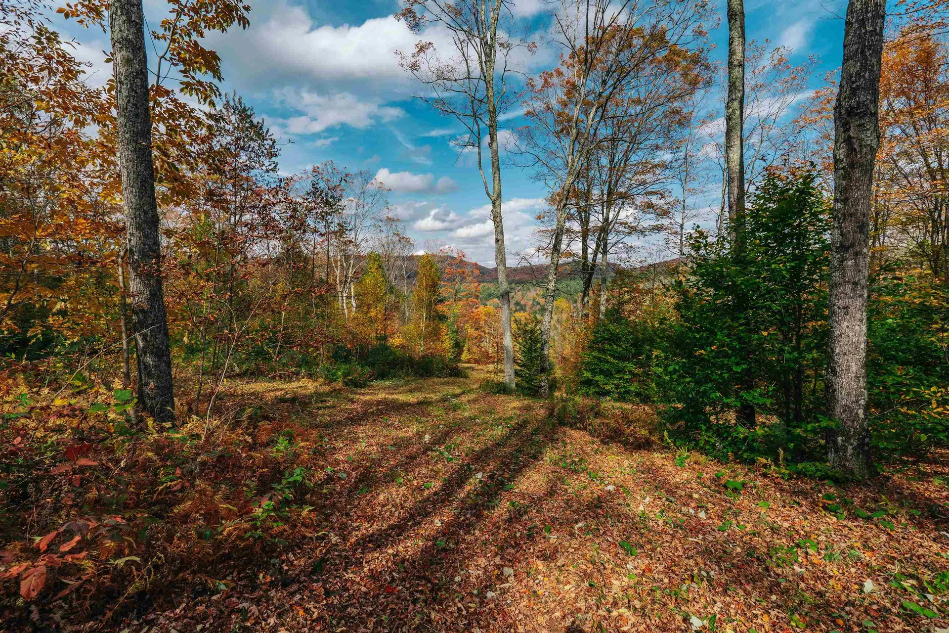 186 Bicknell Hill Road Tunbridge VT 05077
