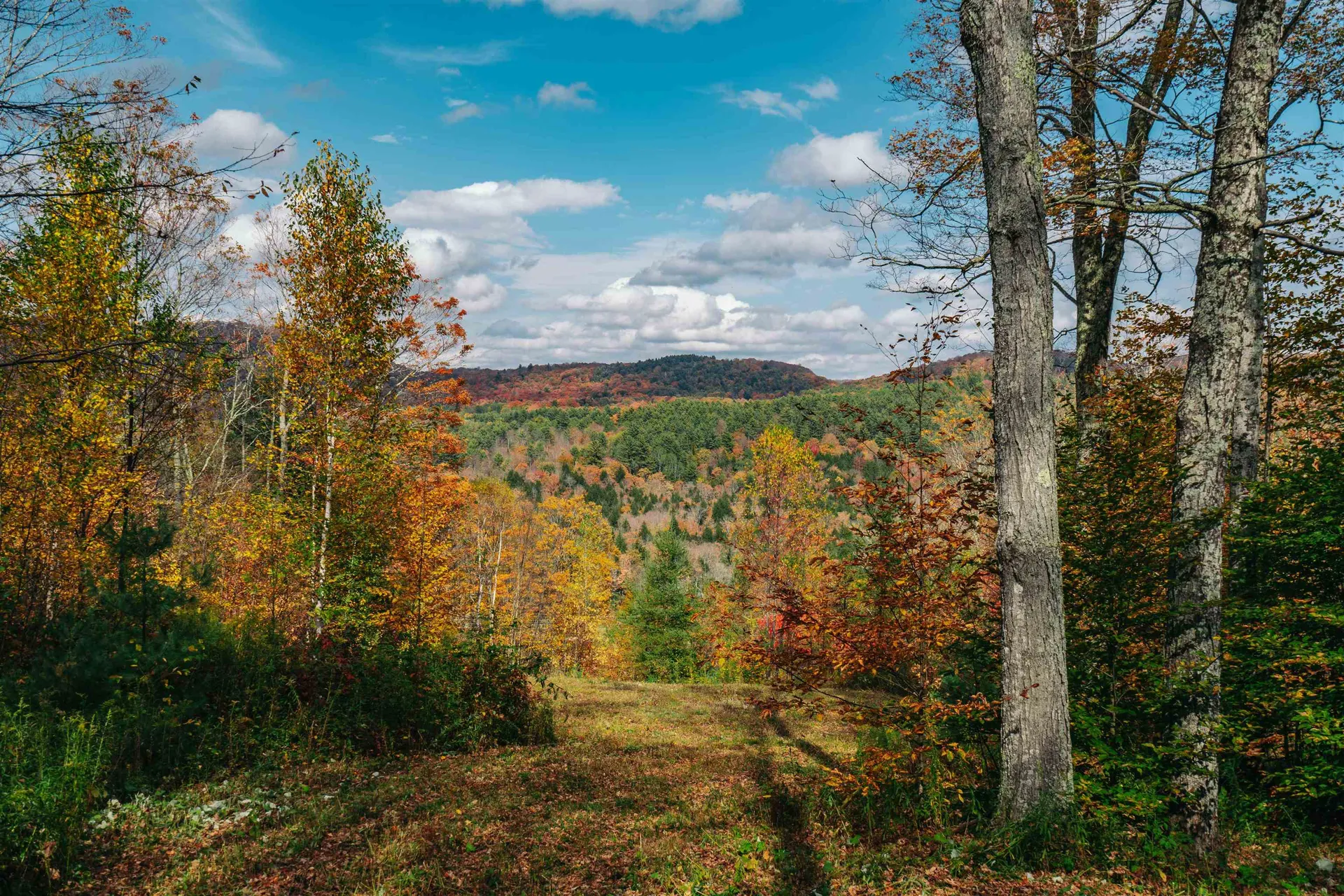 186 Bicknell Hill Road Tunbridge VT 05077