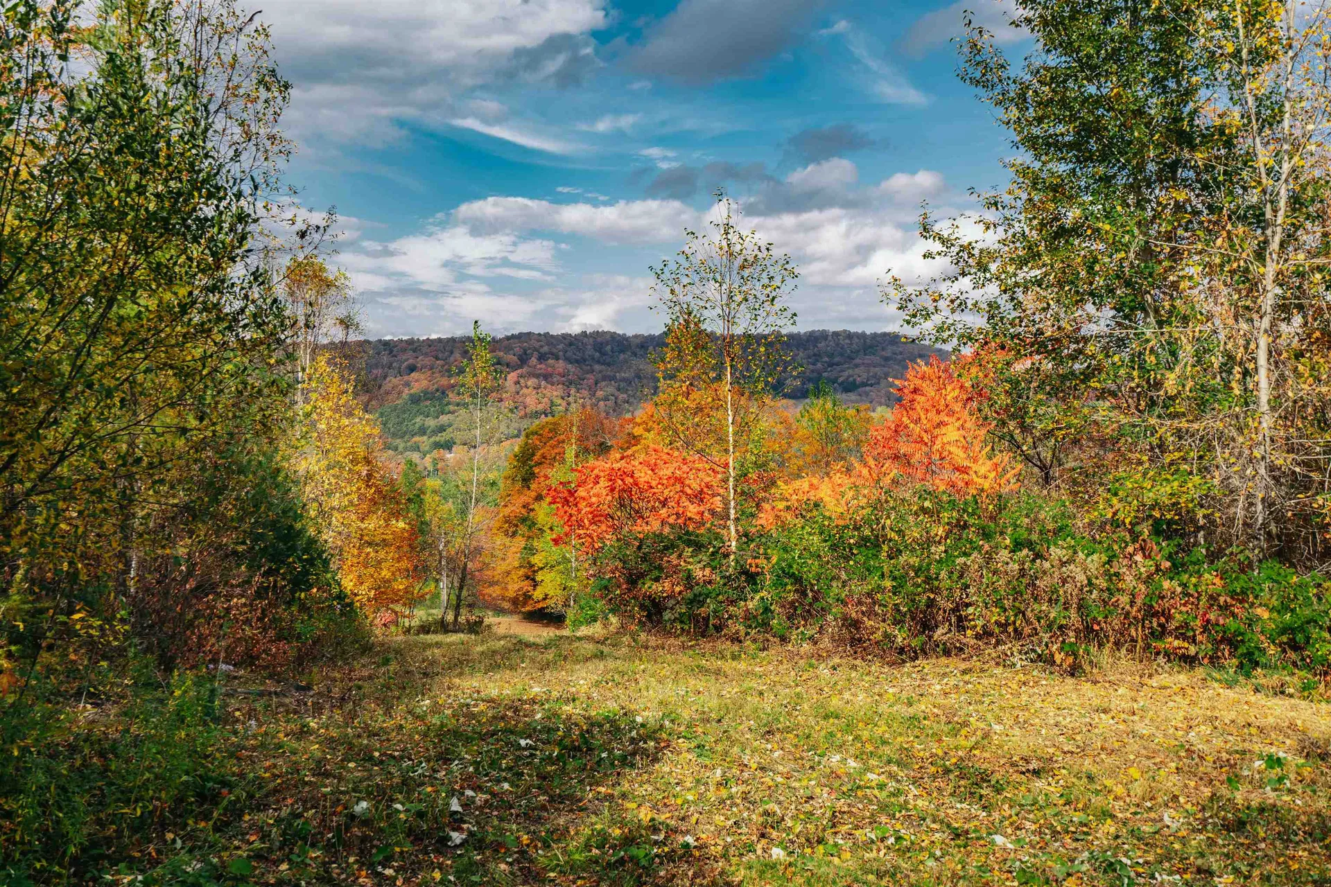 186 Bicknell Hill Road Tunbridge VT 05077