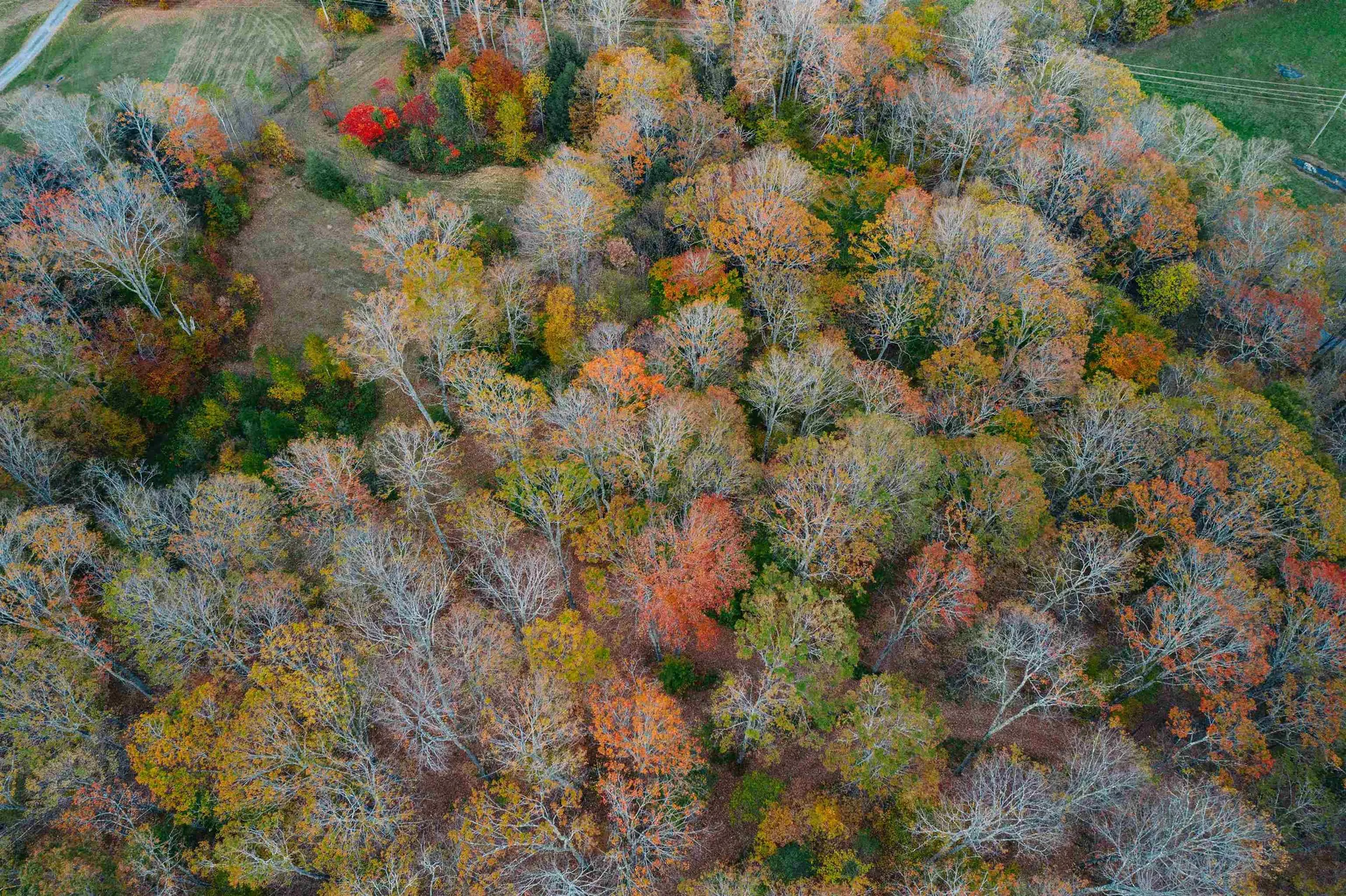 186 Bicknell Hill Road Tunbridge VT 05077