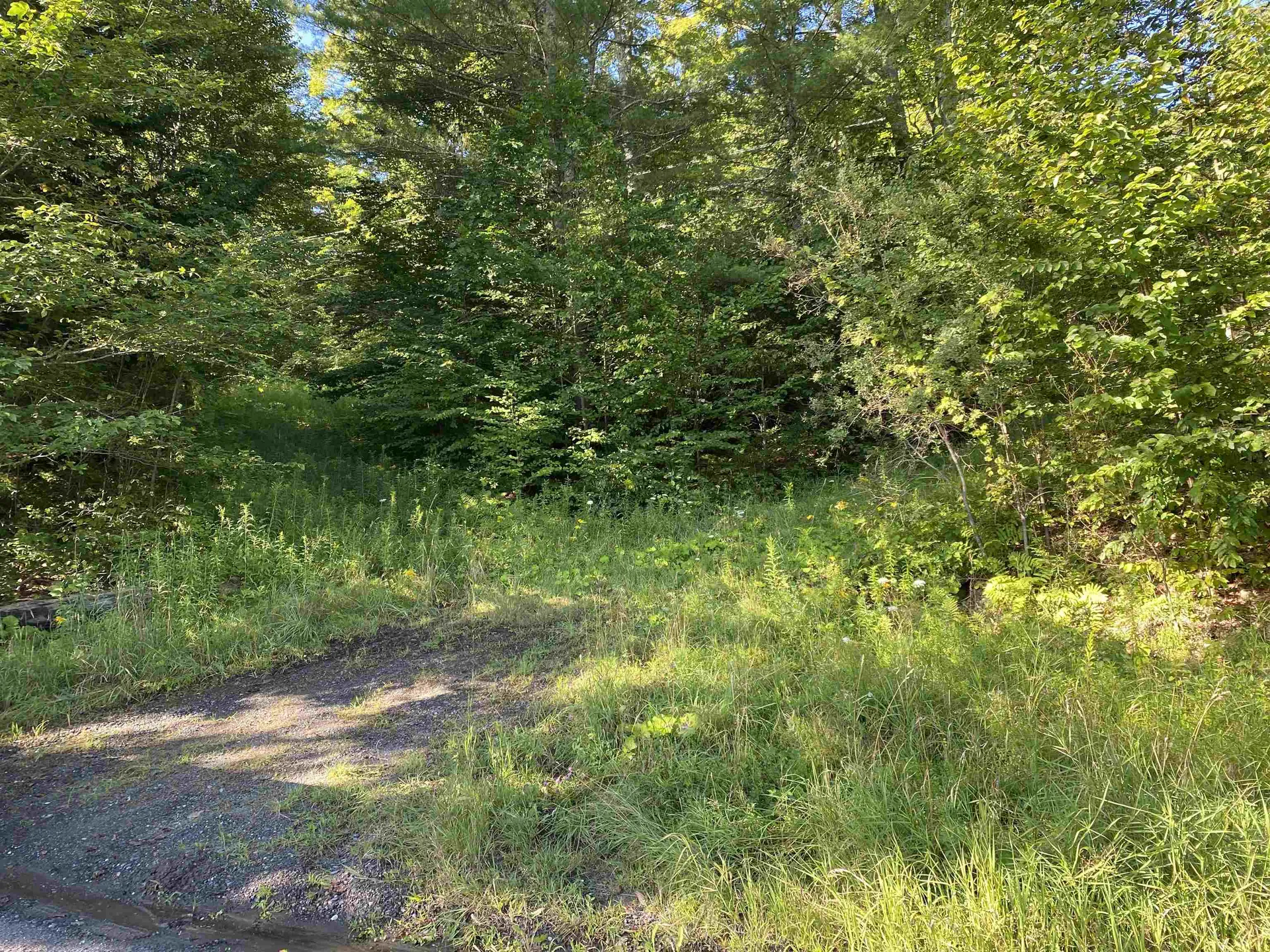 186 Bicknell Hill Road Tunbridge VT 05077
