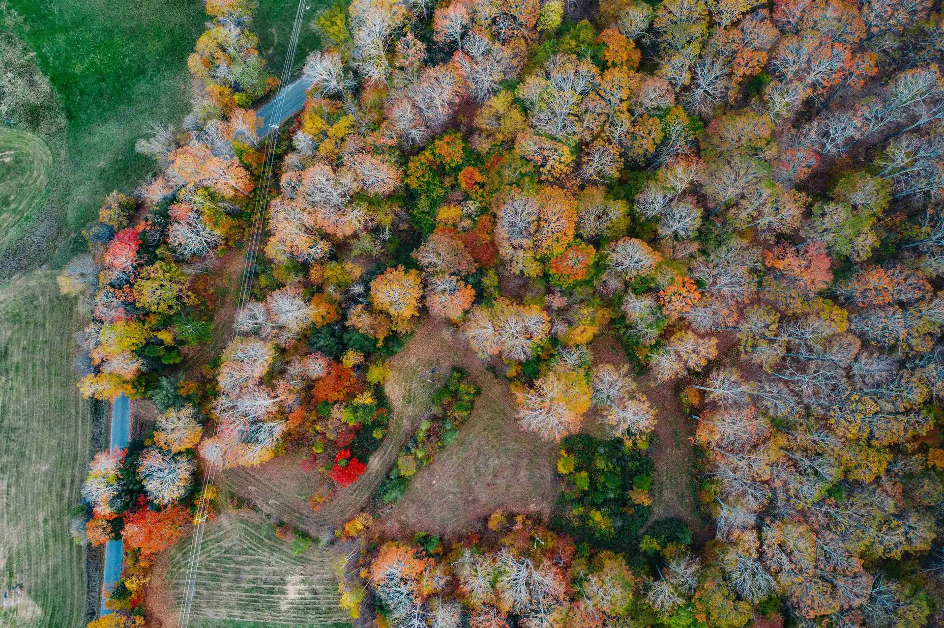 186 Bicknell Hill Road Tunbridge VT 05077