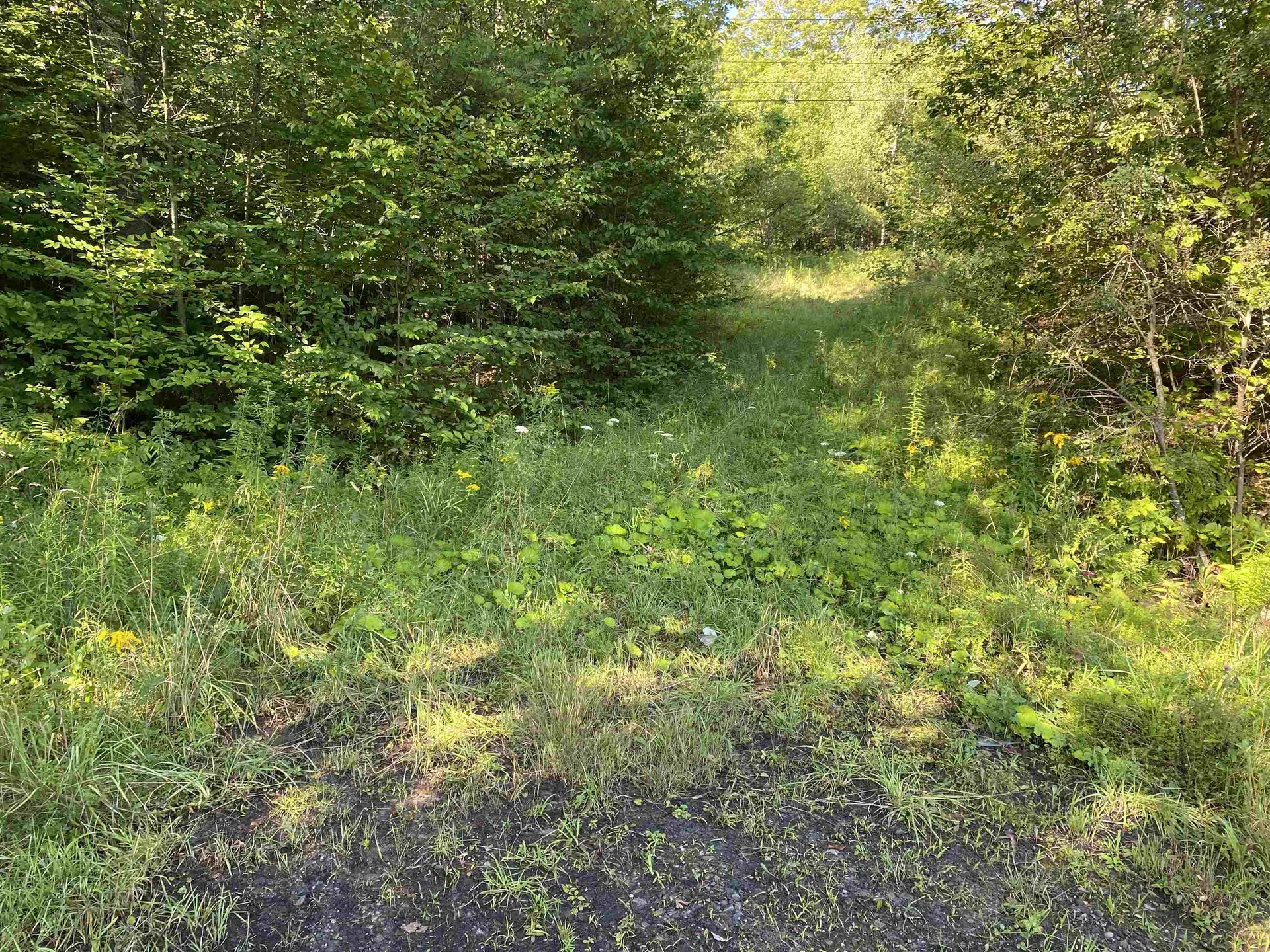 186 Bicknell Hill Road Tunbridge VT 05077