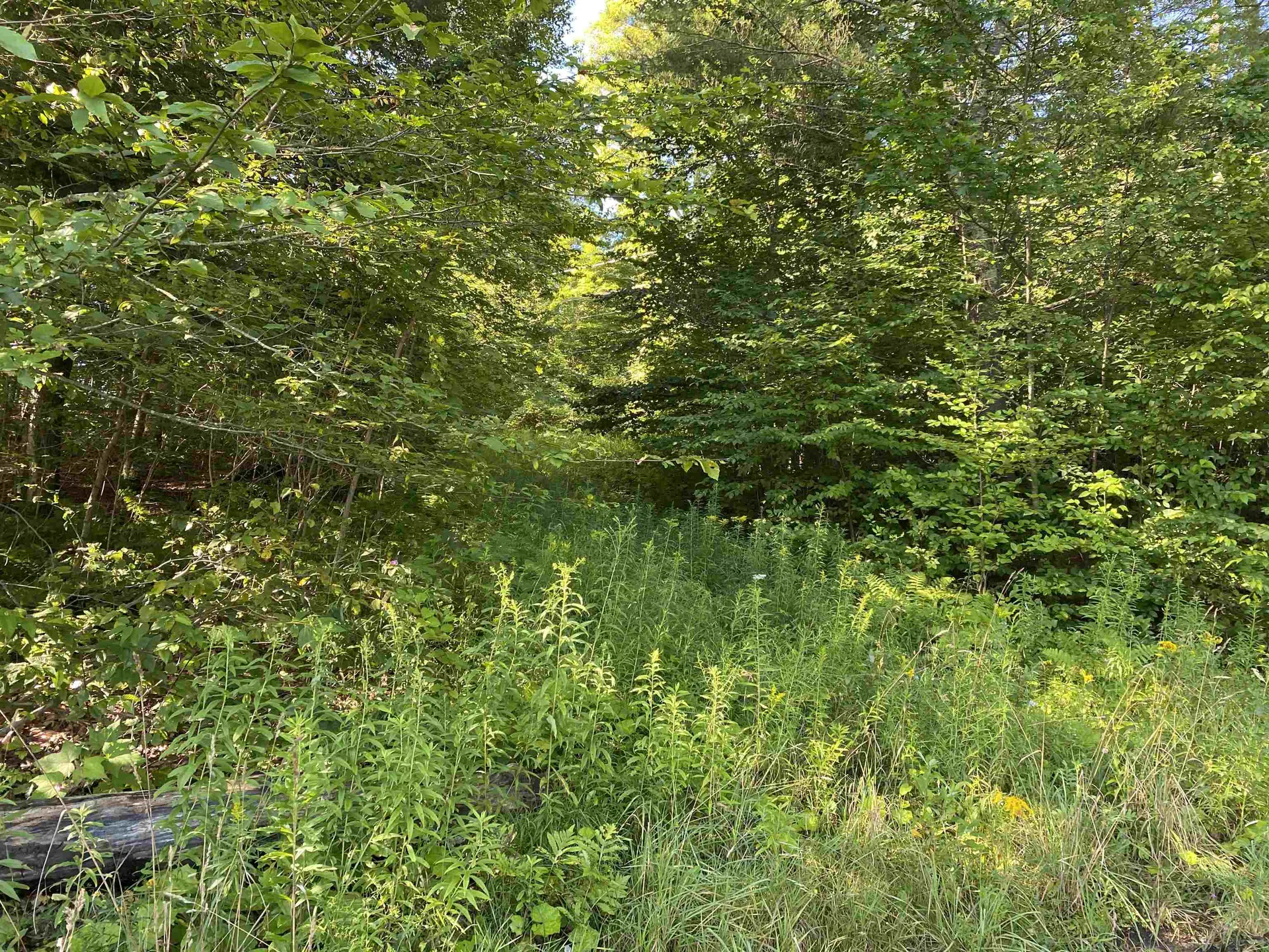 186 Bicknell Hill Road Tunbridge VT 05077