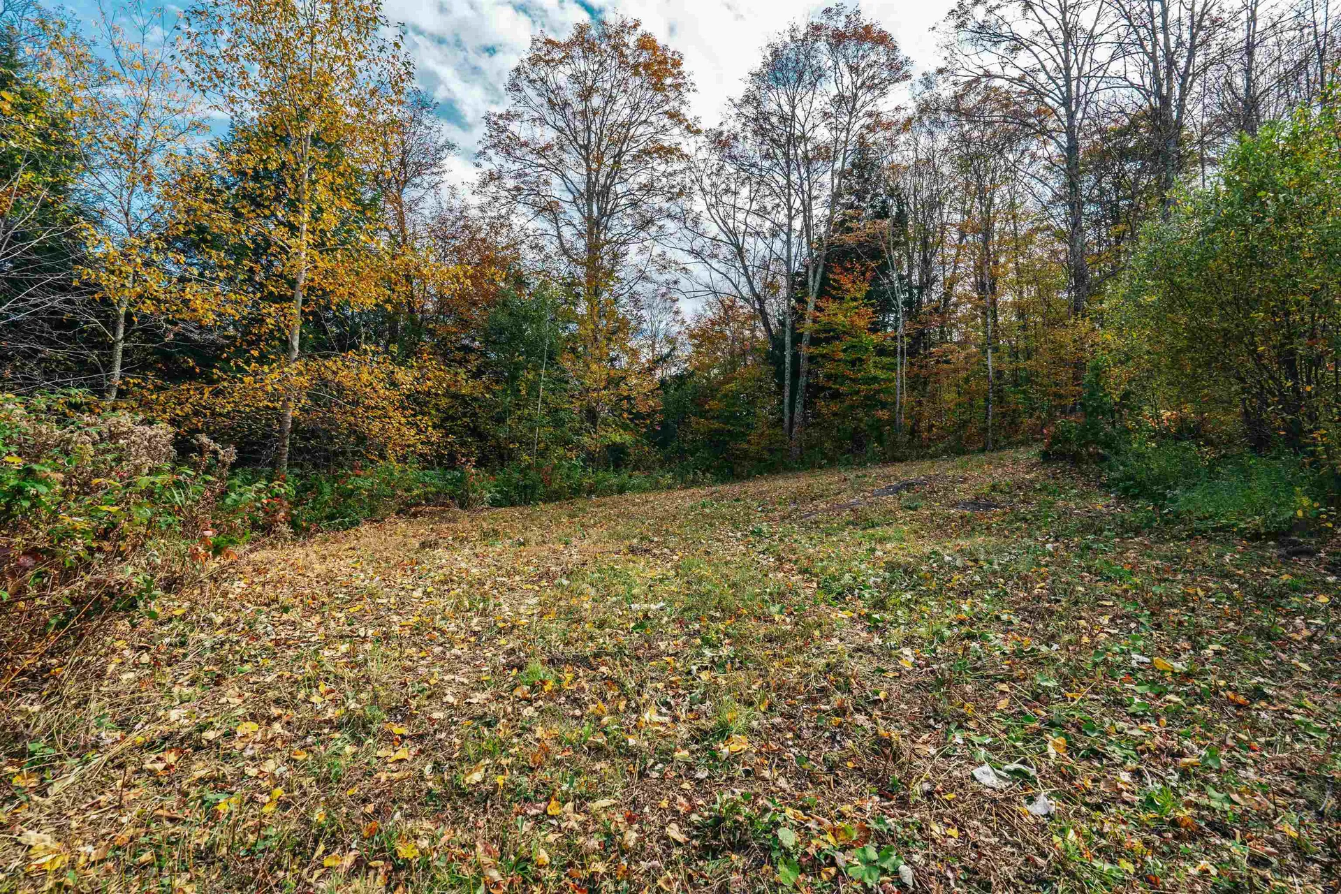 186 Bicknell Hill Road Tunbridge VT 05077