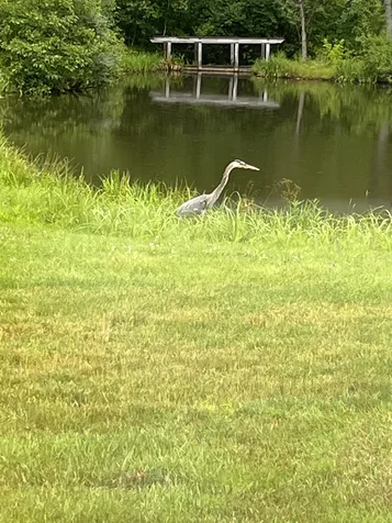 112 Hilltop Place New London NH 03257