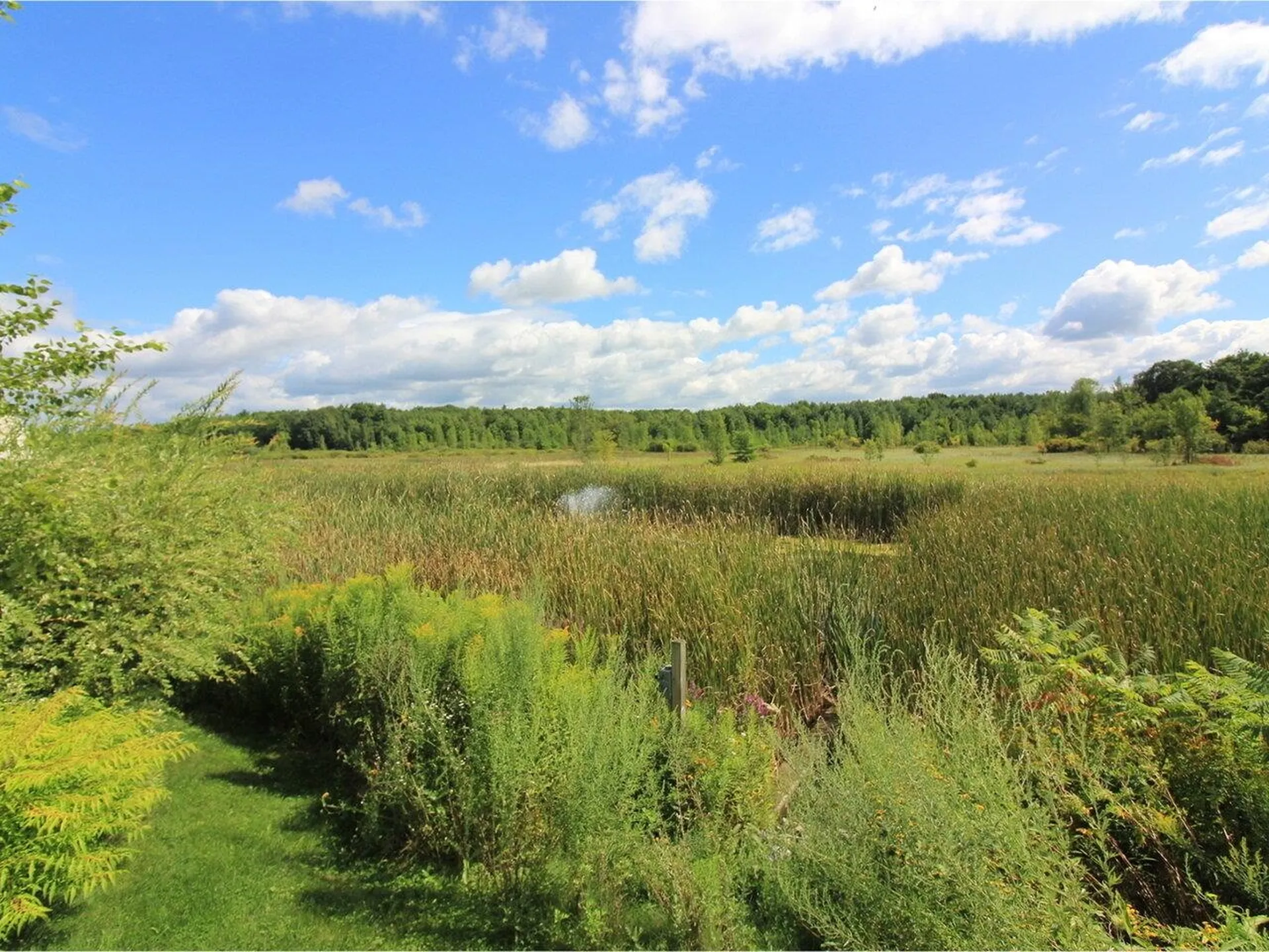 166 North Jefferson Road South Burlington VT 05403