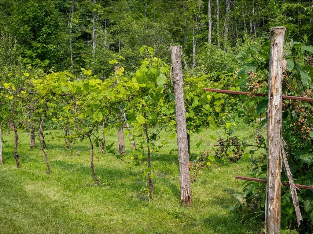 52 Stevensville Road Underhill VT 05489