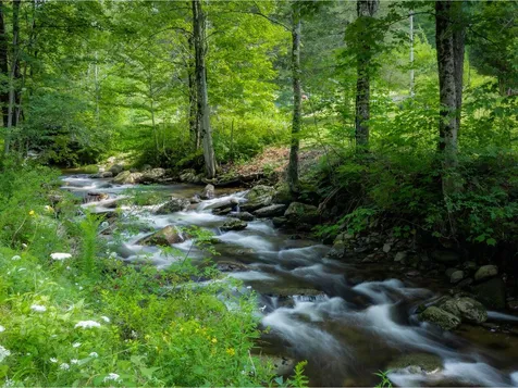 52 Stevensville Road Underhill VT 05489