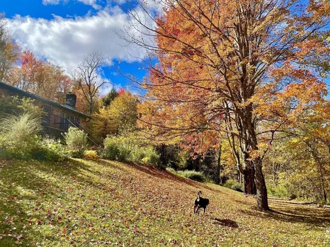 52 Stevensville Road Underhill VT 05489