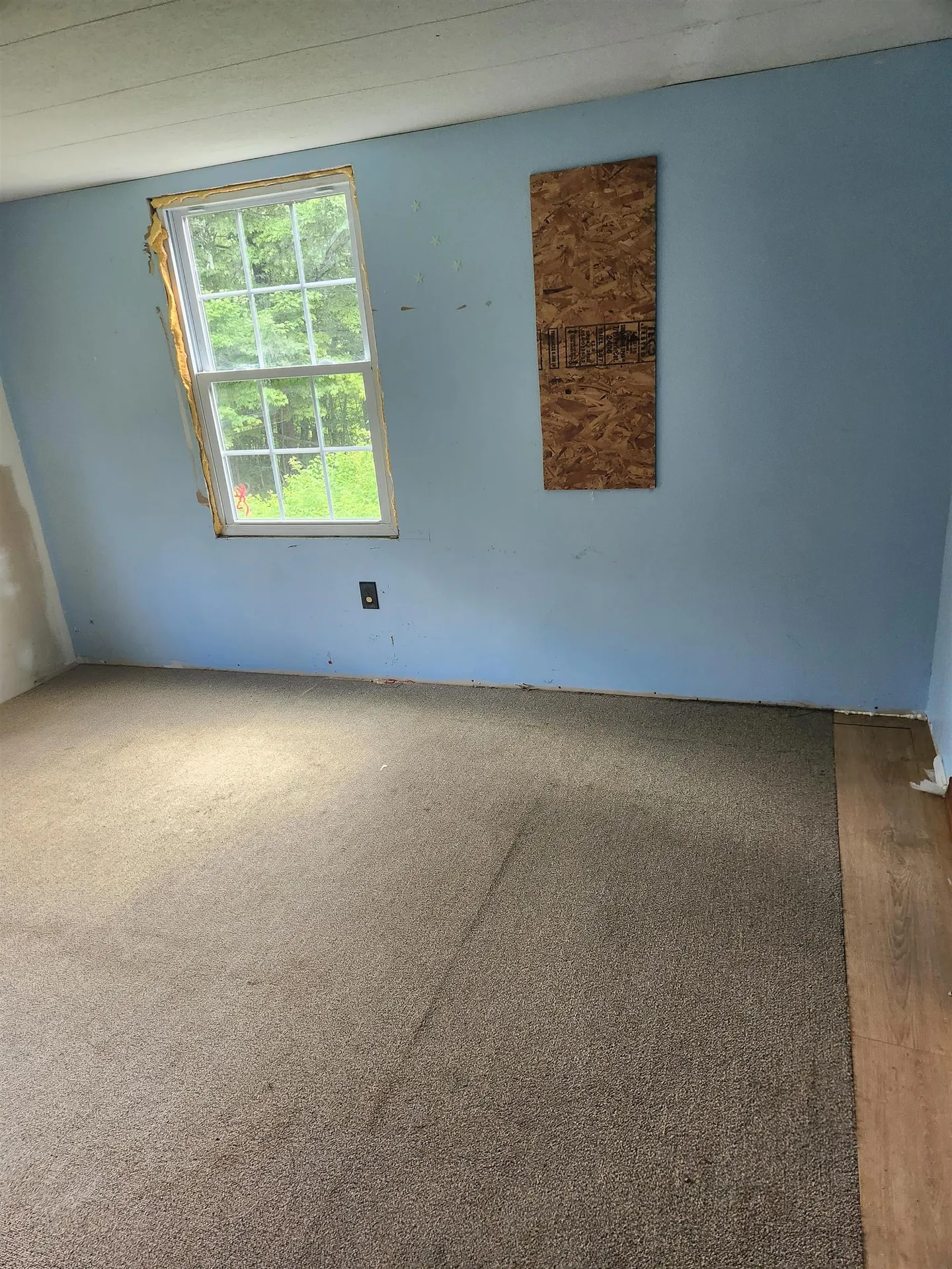 44 Bonnie Brae Drive Alstead NH 03602