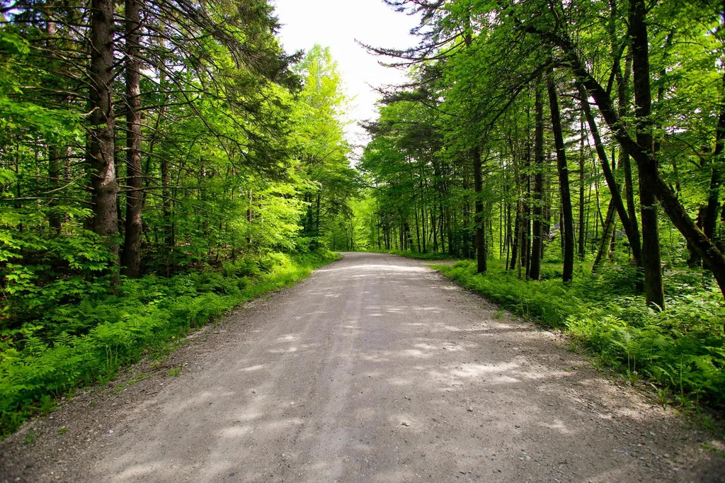1628 Austin Hill Road Rochester VT 05767