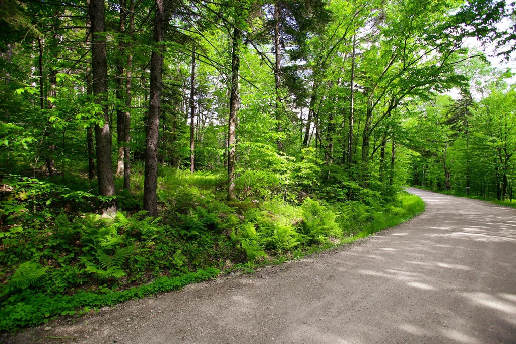 1628 Austin Hill Road Rochester VT 05767