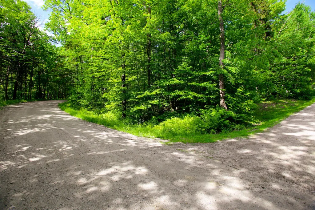 1628 Austin Hill Road Rochester VT 05767