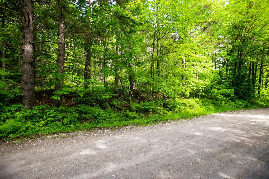 1628 Austin Hill Road Rochester VT 05767