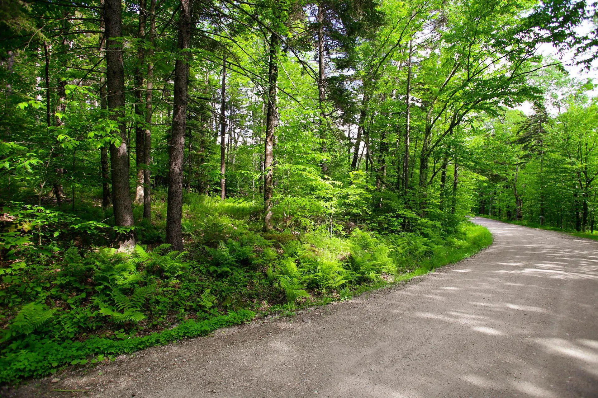 1628 Austin Hill Road Rochester VT 05767