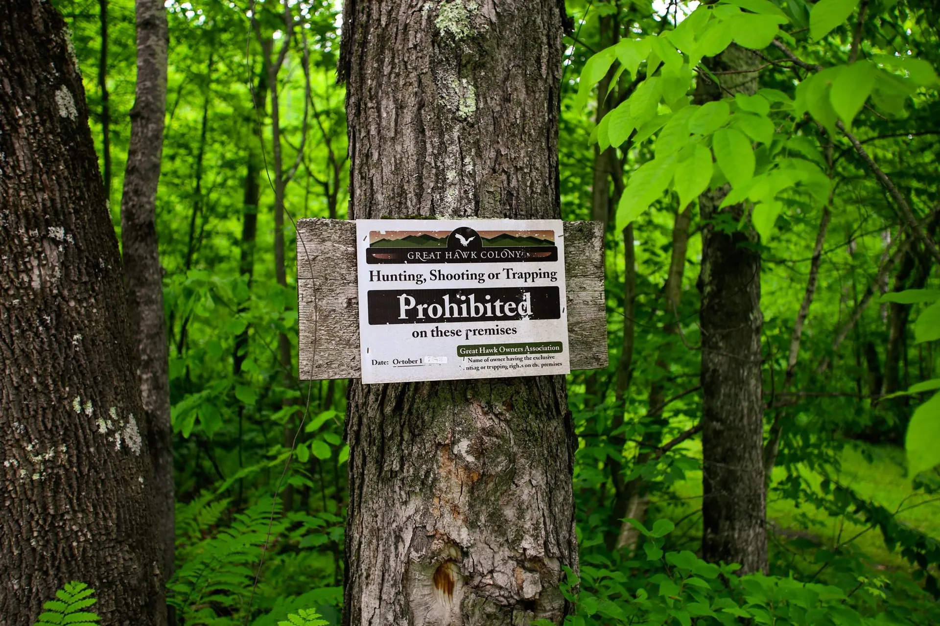 1628 Austin Hill Road Rochester VT 05767