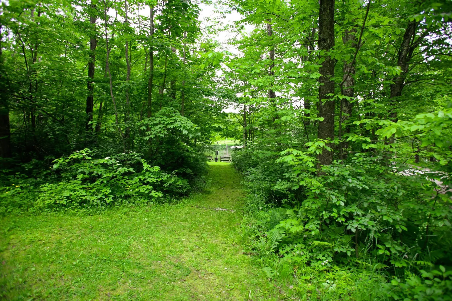 1628 Austin Hill Road Rochester VT 05767