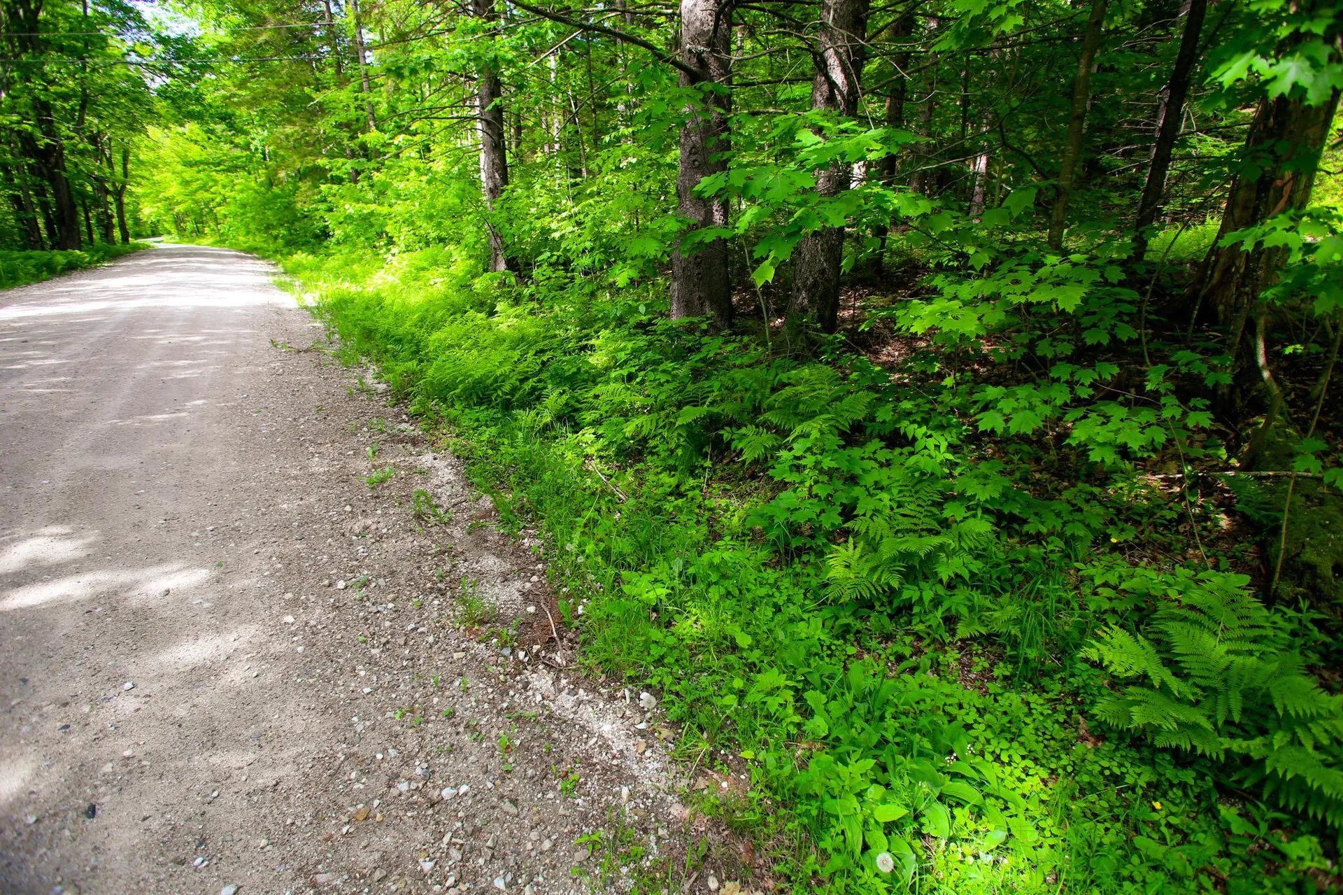 1628 Austin Hill Road Rochester VT 05767