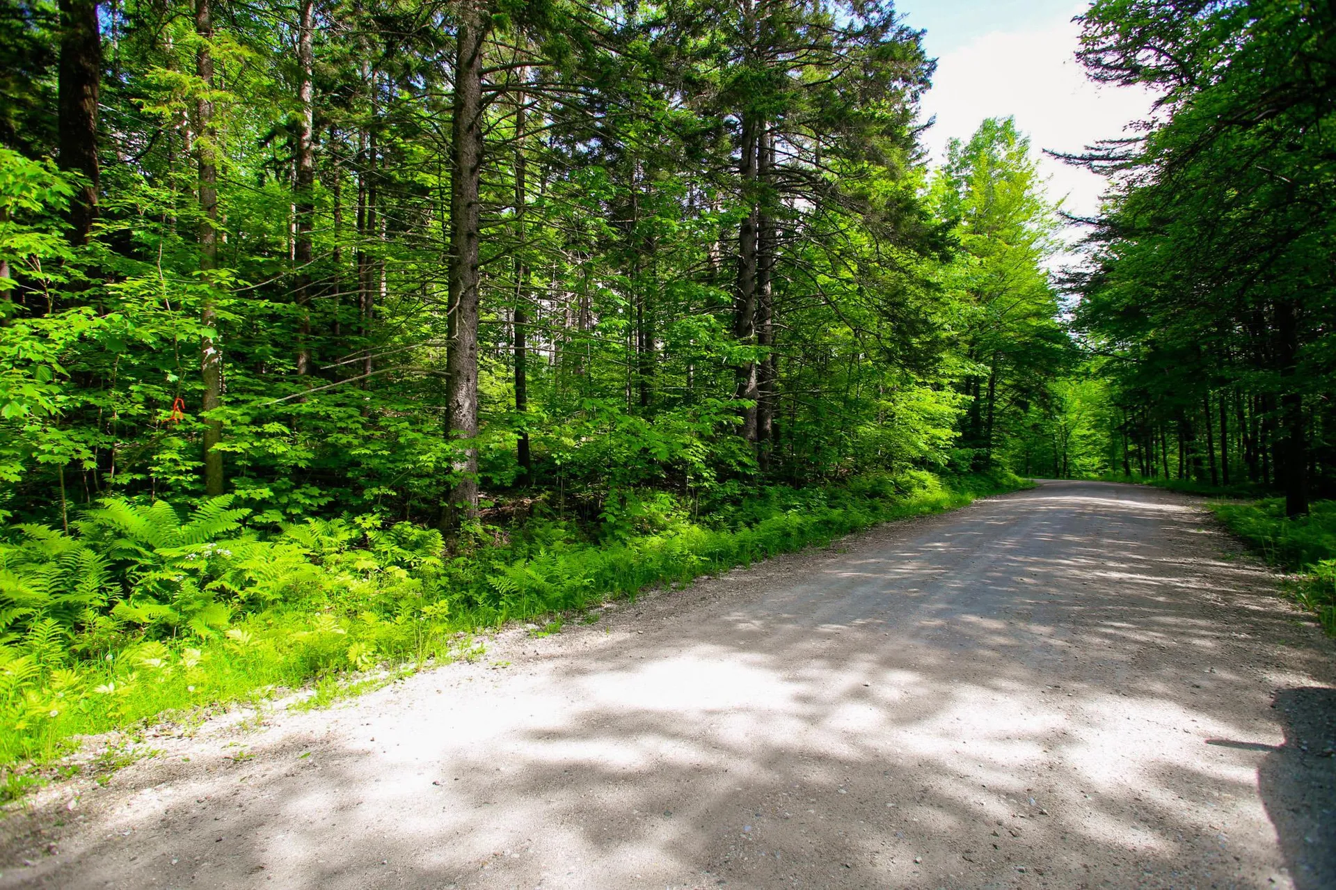 1628 Austin Hill Road Rochester VT 05767
