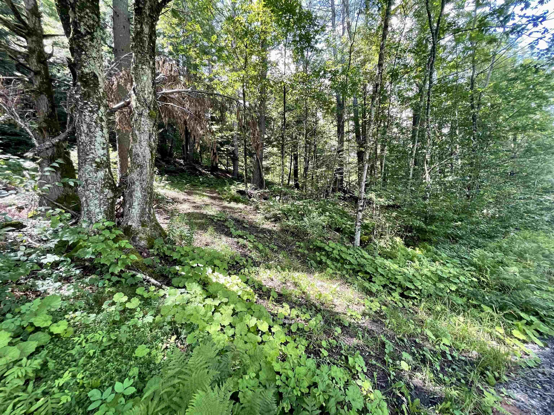 00 Turnpike Road Strafford VT 05070