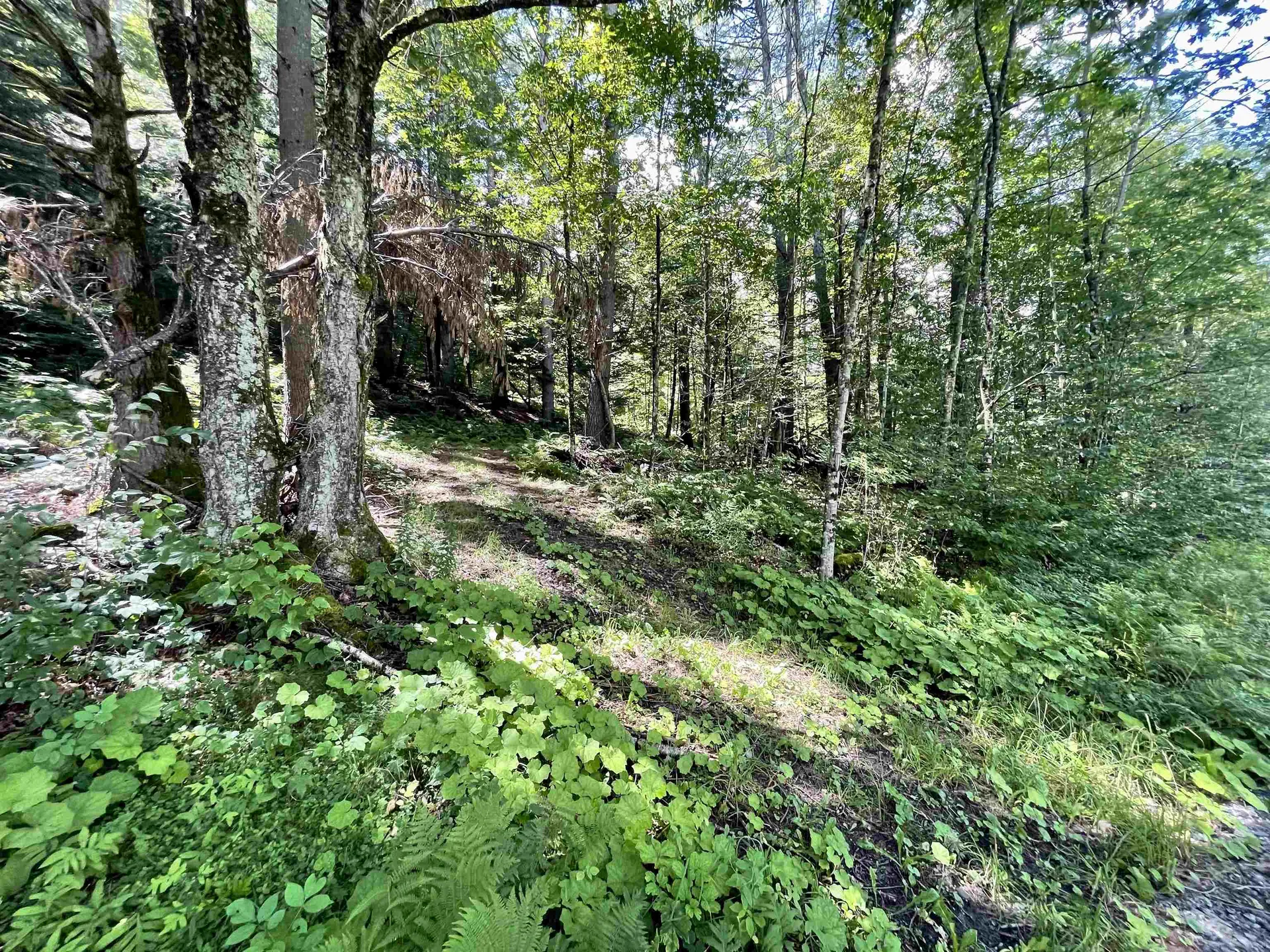 00 Turnpike Road Strafford VT 05070